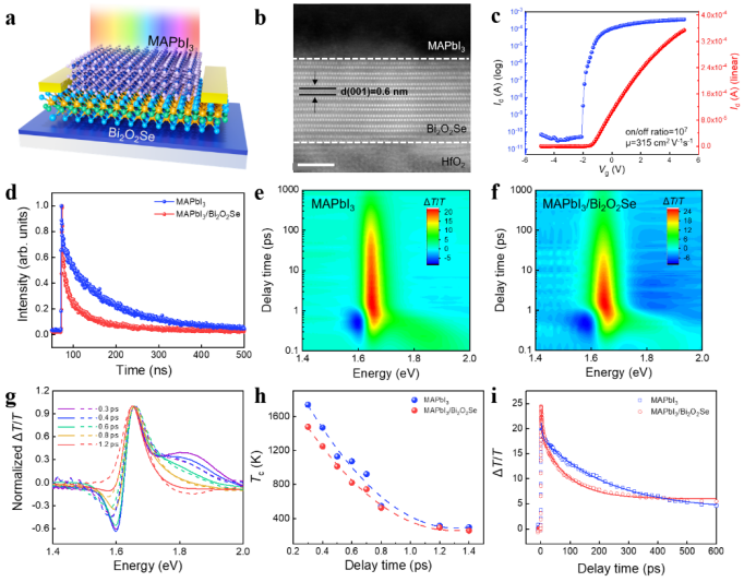 4b687ee57ead4597bdfb38cafe750207.png image.png