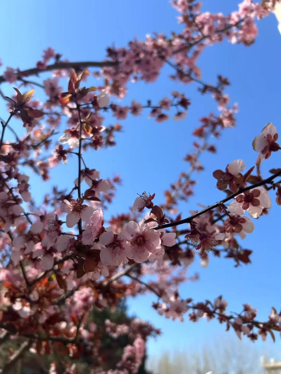 3f86eec873a7459b838fd06085e37363.png 3f86eec873a7459b838fd06085e37363.png