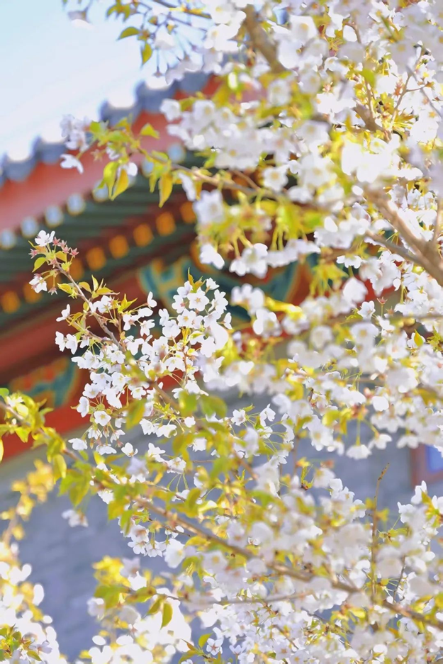 54657db215b6425996e6844a1982775e.png 54657db215b6425996e6844a1982775e.png