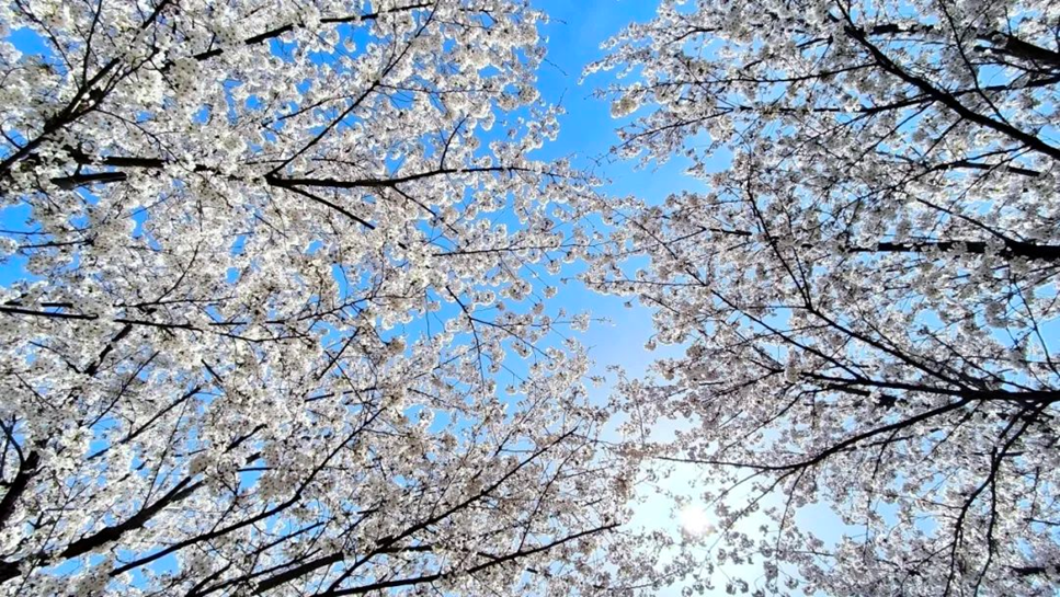 559f7bc53c9d4ddd81831f30862f2bef.png 559f7bc53c9d4ddd81831f30862f2bef.png