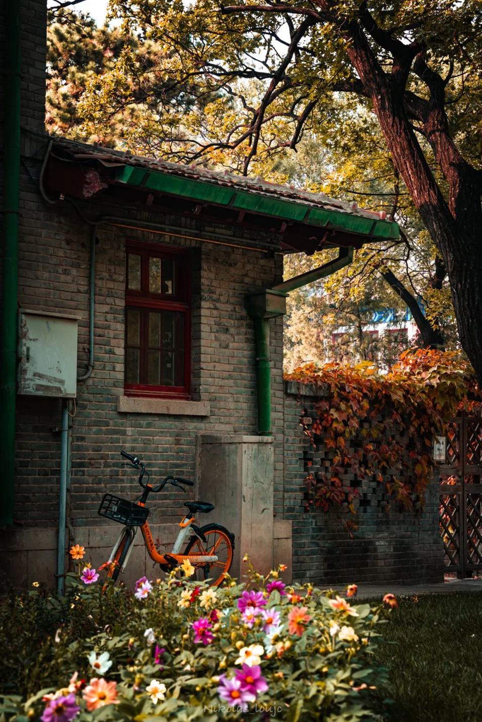 6507df05c6df46c1bd71fa33ec8d88ae.png 6507df05c6df46c1bd71fa33ec8d88ae.png