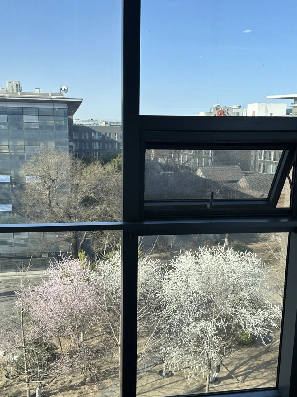 93fd88d97ab143a4a79b3a8b993787ae.png 93fd88d97ab143a4a79b3a8b993787ae.png