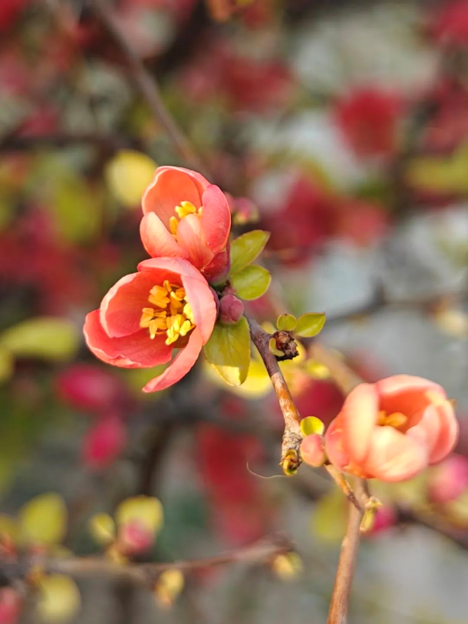 c133e086a1de48f0b57549d125414e54.png c133e086a1de48f0b57549d125414e54.png