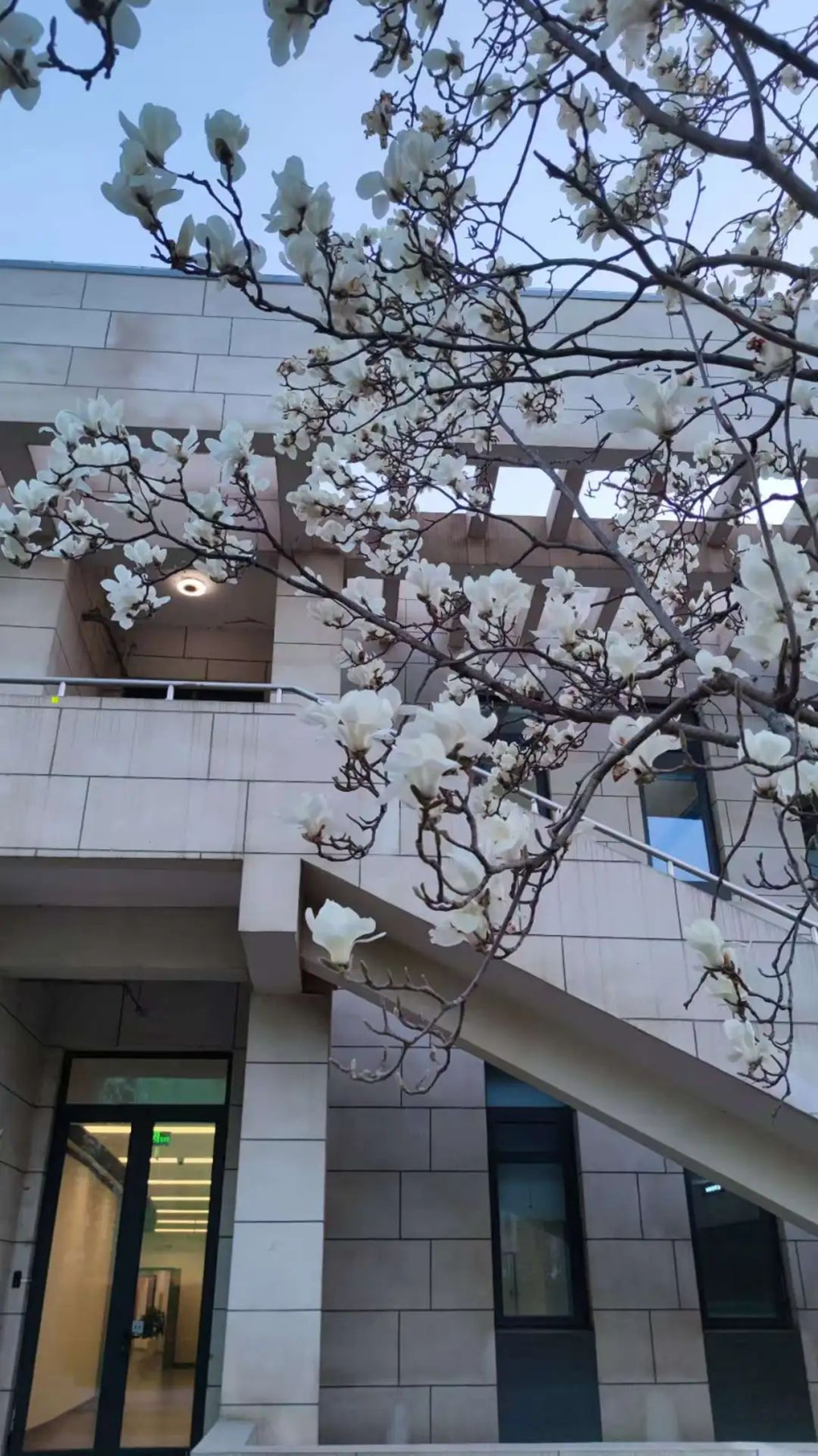 cd83a8e4ba9c49d2a654842075f7ea81.png cd83a8e4ba9c49d2a654842075f7ea81.png