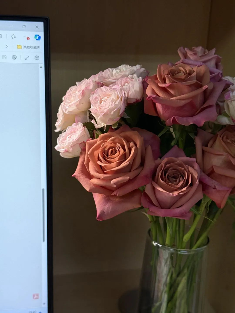 d04113e612c14b998356c97008f7eba1.png d04113e612c14b998356c97008f7eba1.png