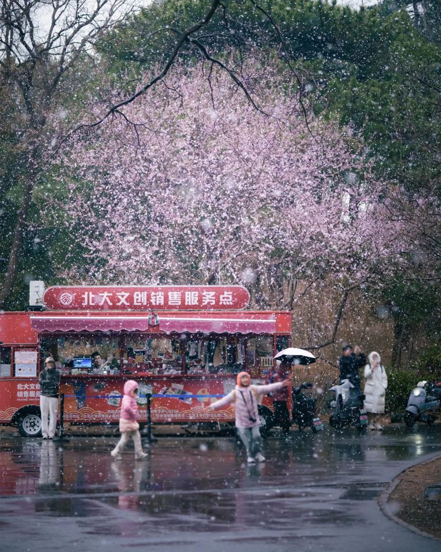 d2a7bdb9f2cf4ef1be39add70c26779f.png d2a7bdb9f2cf4ef1be39add70c26779f.png